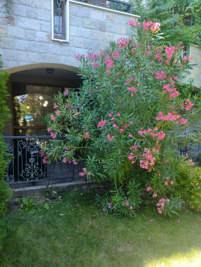 סאני ביץ' Destination Bulgaria 2000 Cascadas Private Summer Family Apartments מראה חיצוני תמונה